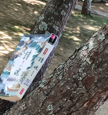 20260429 新竹縣立二重國中 (4)